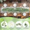 2 Pack Artificial Eucalyptus Garland with Flowers, Faux Greenery Garland Decor 6FT Eucalyptus Vines, Fake Hanging Vines Summer Garland for Mantle Wedding Backdrop Decorations 70.87"D x 6"W x 5.9"H